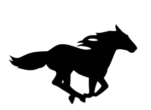 cheval demeco